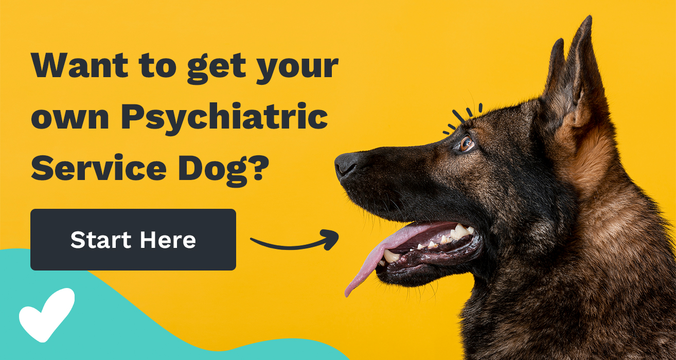 15 Must Haves You and Your Psychiatric Service Dog Can't Live