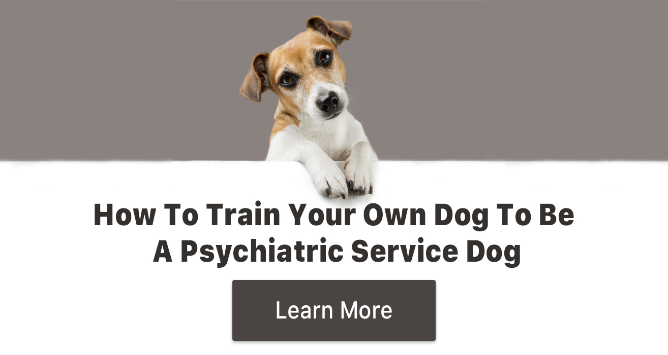 psychiatric service dog training