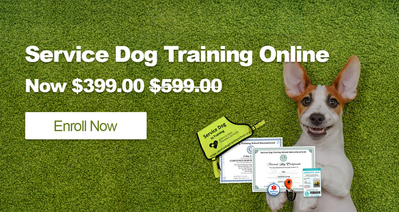 service dog training cost